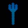 Photo de dos du Trident Phosphorescent bleue et jaune